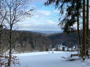 Maison d'hôtes Zum waldfrieden Neuhof 2 97778 Neuhof Bavière