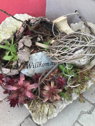 Zur neuen Post Landgasthof