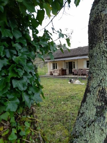 Maison dans écrin de verdure en Périgord noir Saint-Cyprien france