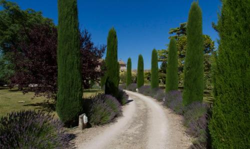 Maison de campagne au charme provençal Saint-Rémy-de-Provence france