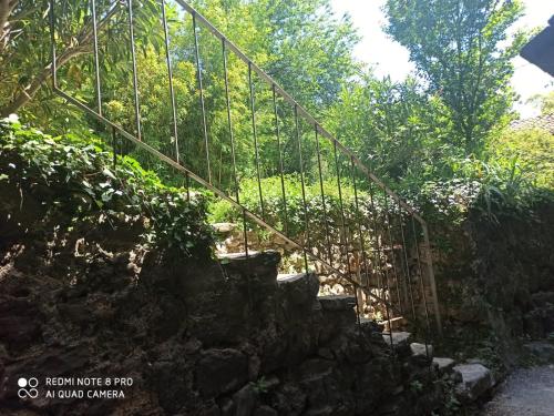 Maison de caractère au coeur des Cévennes Mialet Mialet france