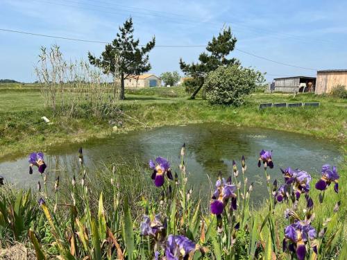 Maison de vacances Maison de charme au cœur des marais pour 6 pers. Le guimard Route des Sorinières Bouin