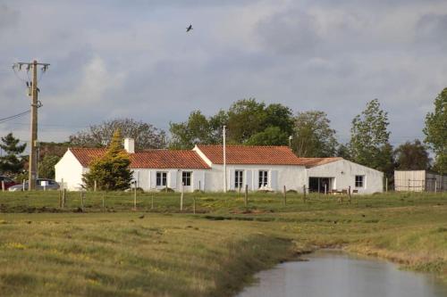 Maison de charme au cœur des marais pour 6 pers. Bouin france