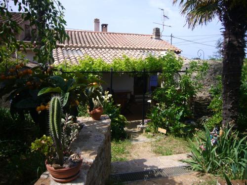 Maison de vacances Maison de charme près de la mer CABASSON 40 Montée de l'Ecole Bormes-les-Mimosas