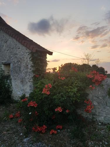 Maison de vacances Maison de Charme sur Colline de La Roche Posay Voiret La Roche-Posay