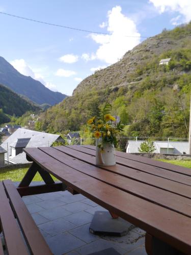 Maison de vacances Maison de montagne proche Gavarnie 12-14 personnes Le Village Gèdre