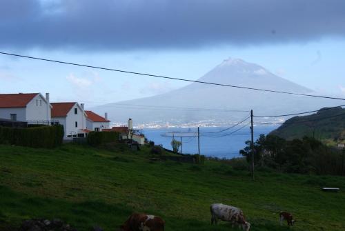 2 bedrooms house at Horta 800 m away from the beach with sea view enclosed garden and wifi