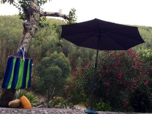 2 bedrooms house with furnished terrace and wifi at Monte Mocao