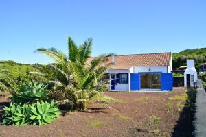 2 bedrooms house with sea view and enclosed garden at Baixa