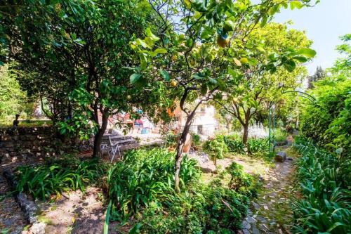 6 pers - Villa et Jardin Bord de mer à Menton