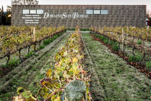 66A2 - Cottage Grenache - jacuzzi - au coeur du vignoble