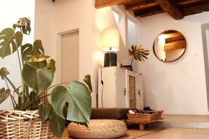 A Casa da Monstera