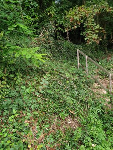À flanc de colline