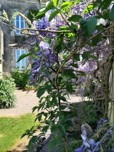 A la Belle Pause