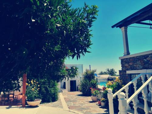 A Quinta da Colina ( Casinha )