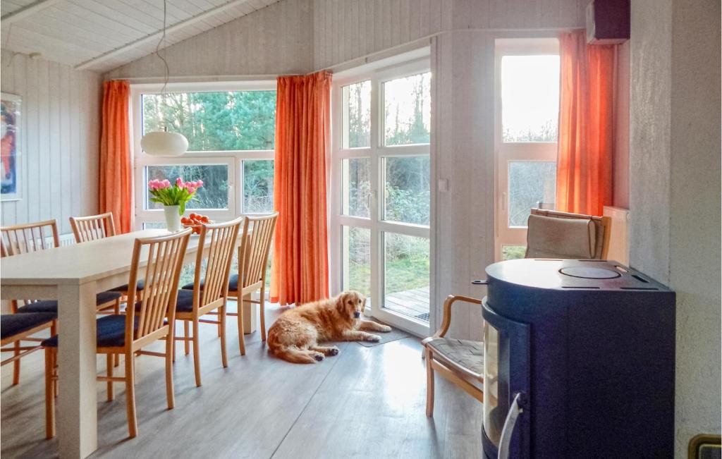 Abendrot 10 - Dorf 3 , 23570 Priwall