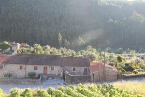 ACOLINA