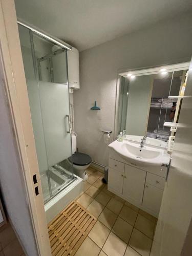 Agréable Tiny house bien située Parking gratuit
