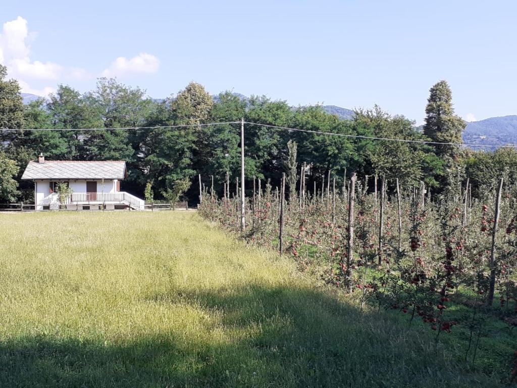 Agriturismo Cascina Bonetto Via San Bernardino 1, 10060 Luserna San Giovanni