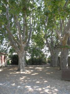 aile d'un ancien mas
