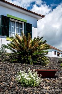 Maison de vacances Alojamento Tomas - Oceanview Home 55 A Estrada Regional, Sao Joao, Companhia de Baixo, Ilha to Pico 9930-423 São João Açores