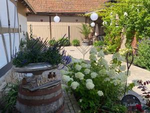 Altes Grabenhöfchen - 5 Sterne Ferienhaus