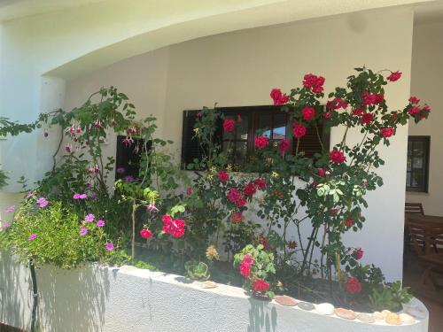 Altura Inn Cottage