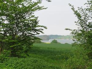 Am Sund Blick