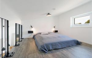 Amazing home in Lembruch-Dmmer See with Sauna, WiFi and Indoor swimming pool