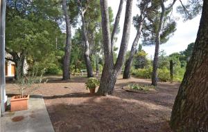 Amazing home in Puymeras with 4 Bedrooms and WiFi