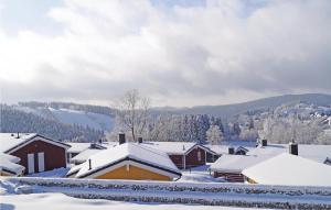 Amazing home in St, Andreasberg with 1 Bedrooms, Sauna and WiFi