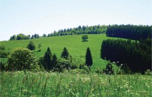 Amazing home in St, Andreasberg with 2 Bedrooms, Sauna and WiFi