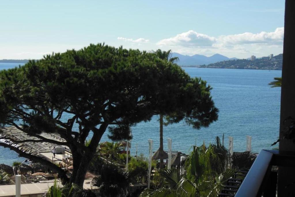 Maison de vacances Amazing studio in Juan les Pins with a large terrasse & seaview parking 32 avenue l'Estérel Clipper A 06160 Juan-les-Pins