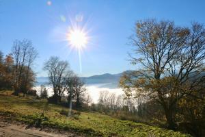 Ancienne petite marcairerie de montagne rénovée cadre rustique