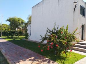 Apartamento Almargem