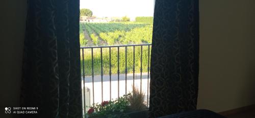 Appartement neuf et moderne au cœur de la Camargue