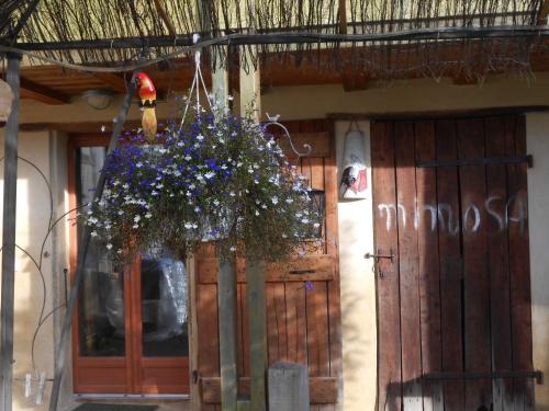 Arie Chez Mimosa