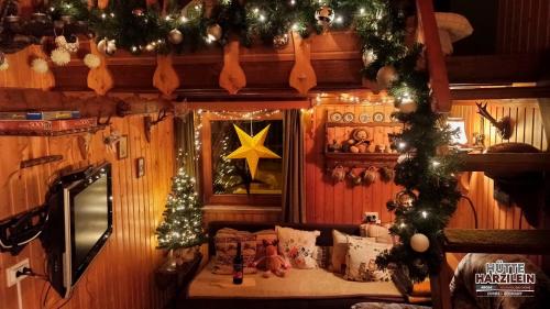 Arode Hütte Harzilein - Romantic tiny house on the edge of the forest