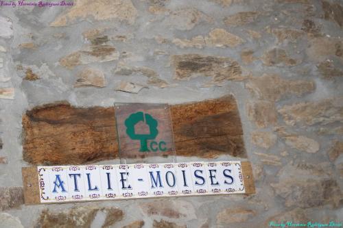 Atlie Moises