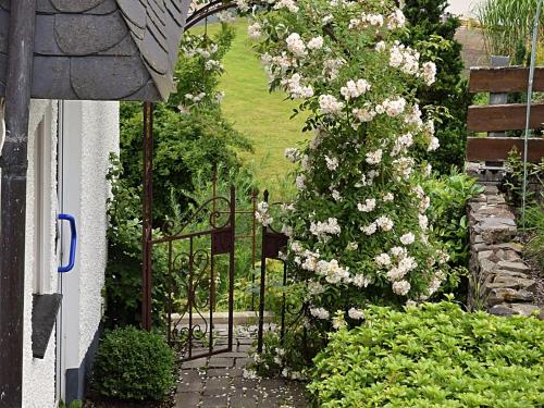 Attractive holiday home in the Sauerland region wood stove and a terrace