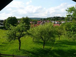 Maison de vacances Attractive Holiday home in Waltershausen with Fireplace  99891 Winterstein Thuringe