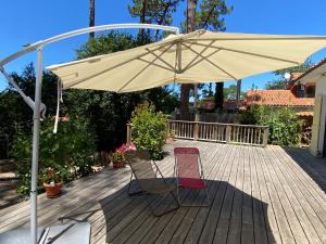 Maison de vacances Attractive house in ideal bay location - a dream with children 91 Avenue de la Pointe aux Chevaux 33950 Lège-Cap-Ferret Aquitaine