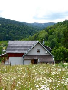 Maison de vacances Au bout de la petite route 31 Route du Wettstein 68140 Soultzeren Alsace