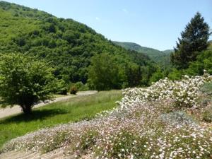 Au Riverain