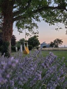 Authentiek landhuis met zwembad in Dordogne.