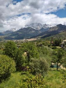 Aux pieds des montagnes