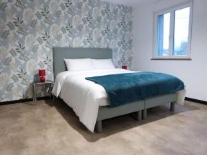 Aux portes des Lacs - Logement - 11 personnes - SPA-SAUNA - 4 chambres