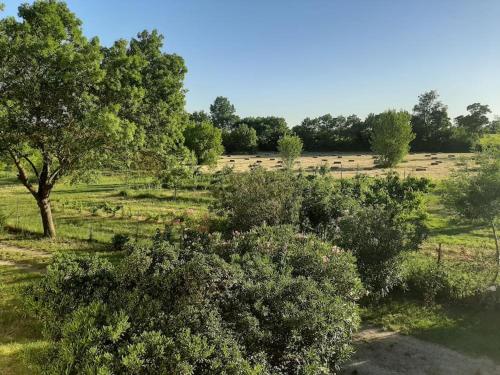 Aux près des lones