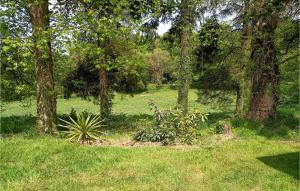 Awesome home in Lescout-Gouarec with 2 Bedrooms
