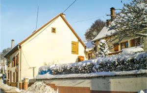 Awesome home in Natzwiller with 2 Bedrooms and WiFi